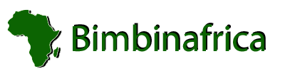 Bimbinafrica Logo